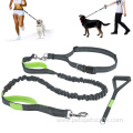 Leash with Bungee and Dog treat pouch Adjustable
